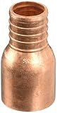 Zurn Pex QQ800CXPK1 1-Inch by 1-Inch Barbed Adapter [並行輸入品]