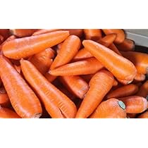 waka　北海道産訳あり人参　60キロ 訳あり にんじん」の人気商品一覧 | 安い商品を通販サイトから