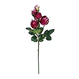 ローズスプレークローズド×5 FXFR0021LAV