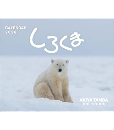 Amazon | 「しろくま」 丹葉暁弥 2026年＜壁掛け＞カレンダー