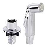 Ldr 501 6105 Cp 551 6105 Cpスプレーヘッド&ガイドクローム仕上げ