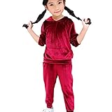 女の子 ベビー服　パーカー　Karchi 　長袖 マイクロファイバー　快適　柔らかい　スポーツ　フード付き　２点上下セット　カジュアル　上着＋パンツ　パーカー　シンプル　秋冬　カバーオール 可愛い (