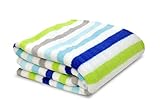 Little Starter Plush Toddler Blanket, Blue Stripe by Little Starter