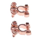 IPOTCH 車　バッテリー　端子　コネクタ　自動車　交換用　ホルダー　クランプ　クリップ