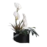 Vickerman AZF10033 Callas in Black Artificial Plant, Ceramic White, 22-Inch [並行輸入品]