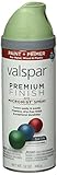Valspar 410-85084 SP 12 Oz Leaf Rise Satin Premium Enamel Spray Paint [並行輸入品]