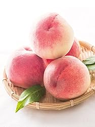 献上桃 ご家庭用 訳あり 3kg(8-14玉) 献上桃の里福島県桑折町