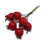 パールレッドザクロフルーツ15 mmヘッド強い幹ガラスフルーツStamen 72 Pieces zg00033