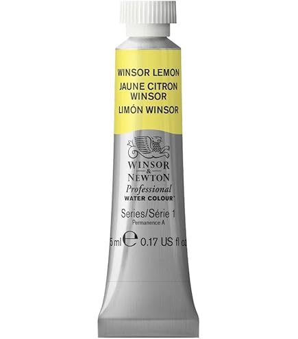 ウィンザー＆ニュートン プロフェッショナルウォーターカラー 新品未使用 ウィンザー&ニュートン プロフェッショナルウォーターカラー PWC