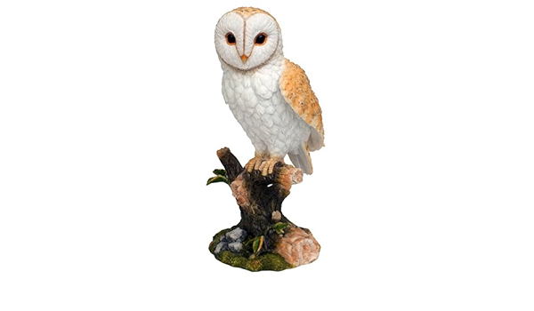 Amazon メンフクロウ フィギュア Barn Owl リアルなフクロウ 面梟 の置物 置物 オブジェ オンライン通販
