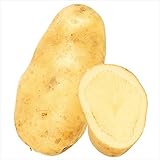 国華園　秋植えじゃがいも アローワP 1kg【※発送が国華園からの場合のみ正規品です】