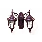 Alico Lighting 3508BW Acclaim Lighting Burled Walnut Finished Outdoor Sconce with Clear Seeded Glass