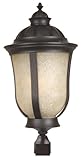 Exteriors Z6115-92-NRG Frances II ES 1 Light Post Mount Light Fixture with Tea-Stained Scavo Glass, 