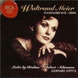 ���̈��Ɛ��U�`�}�C���[�E�h�C�c�E���[�g�E���T�C�^��