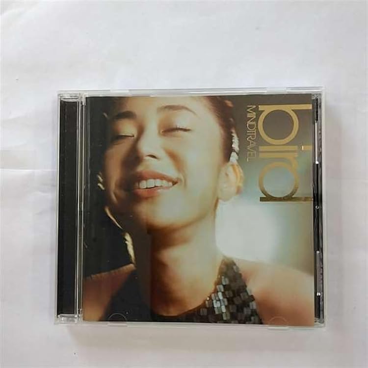 bird bird’s nest 新品2LPレコード bird bird's nest 新品2LPレコード