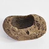 軽石小 山野草鉢 2号 幅 10.0 cm × 高 5.0 cm