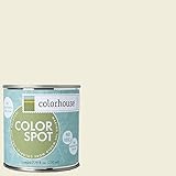 Inspired Eggshell Interior Colorspot Paint Sample, Imagine .04, 8-oz [並行輸入品]