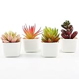 人工観葉植物 多肉植物 4個セット 造花 フェイクグリーン 観葉植物 ミニ 陶器鉢 (白、4個セット) 父の日 敬老の日 お返し 結婚祝い 新築祝い 退職祝い 還暦祝い