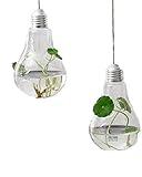 Reynolds Ave 素敵 インテリア 電球 型 フラワーベース 観葉植物 にも (両面 穴 ２個セット)