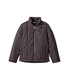 (ザノースフェイス) THE NORTH FACE キッズコート・ジャケット・アウター All Season Insulated Jacket (Little Kids/Big Kids) Graph