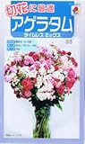 【種子】アゲラタム　タイムレスミックス 0.1ml