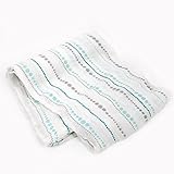 エイデンアンドアネイ / Aden+Anais おくるみ 1枚売り Bamboo Muslin swaddling wrap(,AZ種類：2/lines/azure) [並行輸入品]