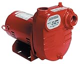 Red Lion RL-S50 ½ HP 2940 GPH Self Priming Cast Iron Effluent Pump, 1 ¼-Inch NPT Suction and Dischar