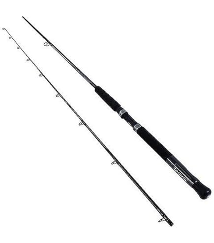 Amazon | Fiblink 海水 オフショア トローリングロッド 2ピース