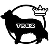 14色 愛犬名 or 犬種名 入り ボーダーコリー ステッカー DOG ON BOARD【DOG IN CAR ワンコ 名入れ ネーム ドッグ ボーダー 犬 大型犬 カーサイン TREZ 名前 名前】
