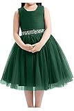 (アイビードレシング) Ivydressing 子供ドレス パーティードレス ウェディング フラワーガールドレス ジュニアドレス 披露宴 発表会 演奏会 ガールズ 演出 プリンセス-120-グリーン