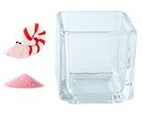 花市場直送便 ミニチュアガラス アンモナイト & カラーサンド パステルピンク & 植え込み用グラス ニューブロックS