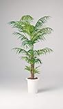 LION 人工植物　GB-217 品番57754