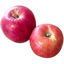 Amazon.co.jp: 否バラ詰め A級品 紅玉 20kg 用 木箱 サイズ ダンボール  