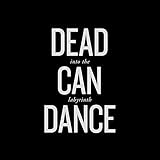 Into the Labyrinth (Hybr)