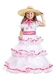 Fun World Costumes Baby Girl's Sweet Southern Bell Toddler Costume Pink/White X-Large(4/6) [並行輸入品]