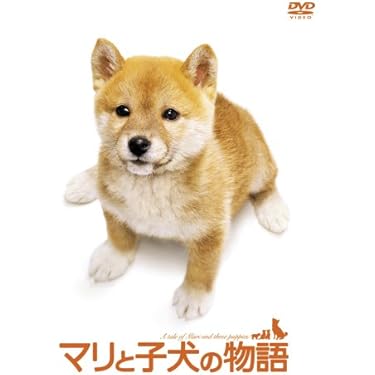 Amazon.co.jp 売れ筋ランキング: undefined の中で最も人気のある商品です