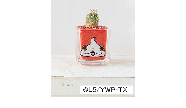 Amazon 観葉 ミニサボテン カラーサンドde妖怪ウォッチ ジバニャン 1個 本州 四国限定 生体 観葉植物 オンライン通販