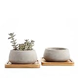 T4U 9CM セメント製鉢 大丸 多肉植物、サボテン鉢 プランター容器 竹製トレイ付き グレー 2点入り