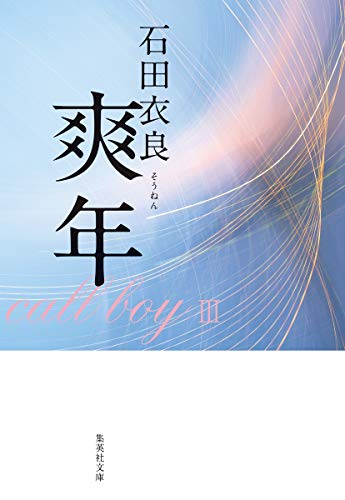 石田衣良:爽年 (集英社文庫)