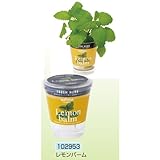 アーテック フレッシュハーブ 102953 レモンバーム