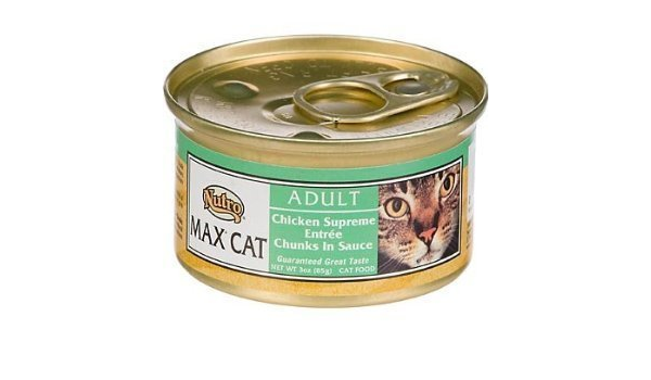 nutro max cat