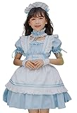 [ＡＢＵＮＤＡＮＴＤＯＯＤＳ] メイド 服 ゴスロリ 萌え コスプレ 衣装 フリル ロリータ かわいい カチューシャ 付き 6点 セット 清楚 可憐 ウェイトレス 子供 大人 ４色 (ブルー, L)