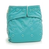 Bumkins Stuff It Cloth Diaper with 2 Minky Inserts, Blue by Bumkins