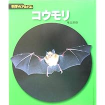 まちのコウモリ (ふしぎいっぱい写真絵本 7) | 中川 雄三 |本 | 通販