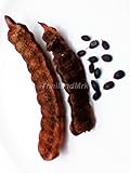 Thai Acacia concinna Fabaceae 100 Seeds ThailandMrk
