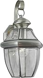 Forte Lighting 1201-01-34 Exterior Wall Light with Clear Beveled Glass Shades, Antique Pewter [並行輸入品