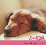 �ŐV �������薰��郂�[�c�@���g