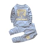 (プタス)Putars ベビー服 子供服 上下セット パーカー 長袖 男の子 可愛い 春 秋 スポーツ 運動会 旅行 記念日 プレゼント 1-4歳