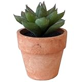フェイクプランツ 多肉植物 ポットミニE DECOR IMITATION MINI CACTUS