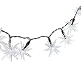 GreenLighting Star String Lights - Solar Powered 50 LED Starburst Lights (White) [並行輸入品]